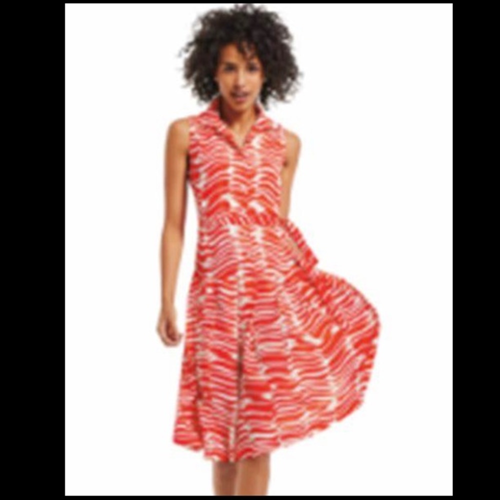 CAbi | #281 Brushstroke Popover Shirt Dress